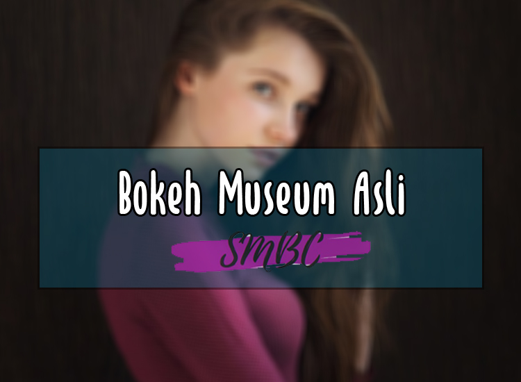 Bokeh Museum Asli